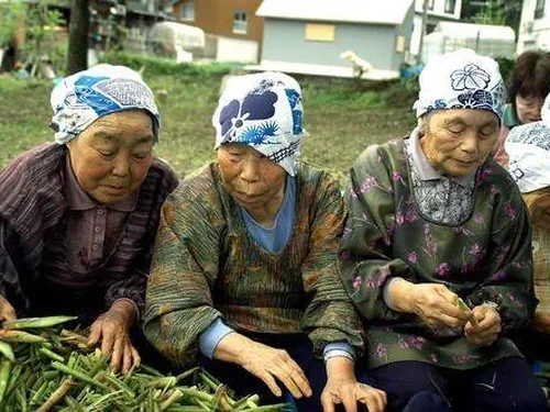 Rural Japan Photography Walk