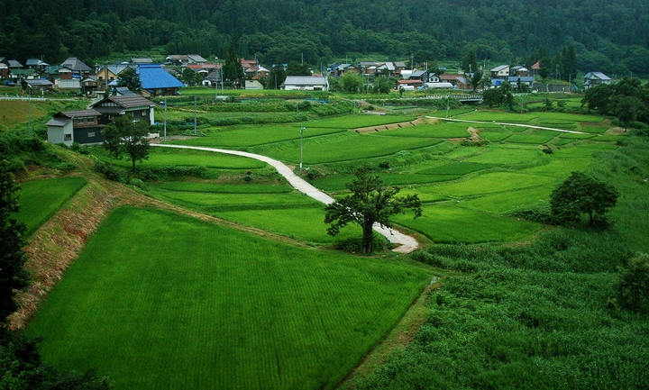 Still Beauty to Be Found