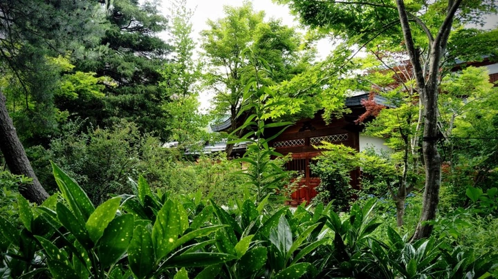 262_img_20240615_153715-edit-1024x574