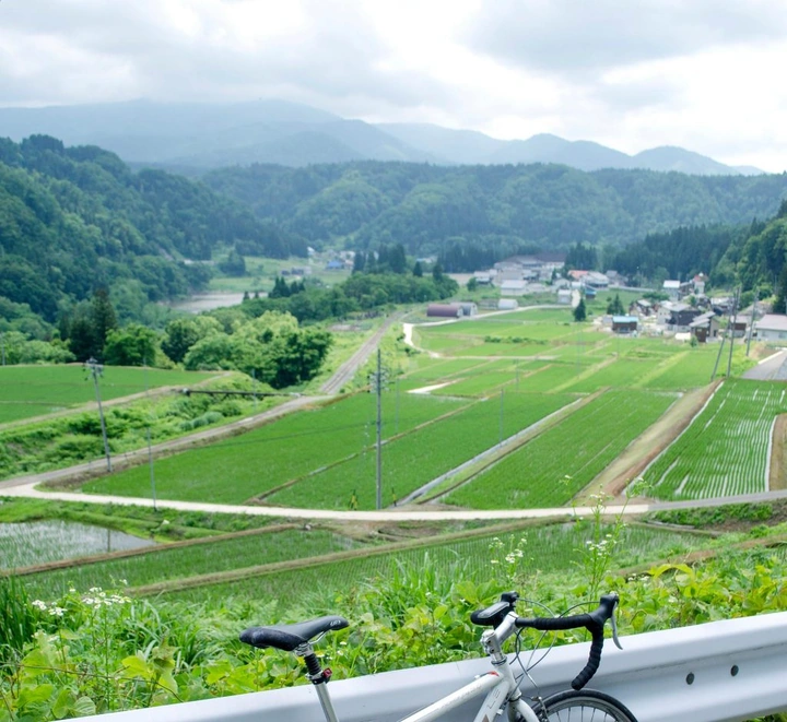 A Short Spring Ride Through the Rice Fields
