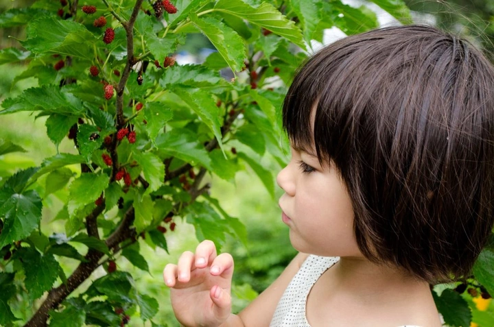 274_10453060_10152544503228203_4986616506623819660_o-1024x678