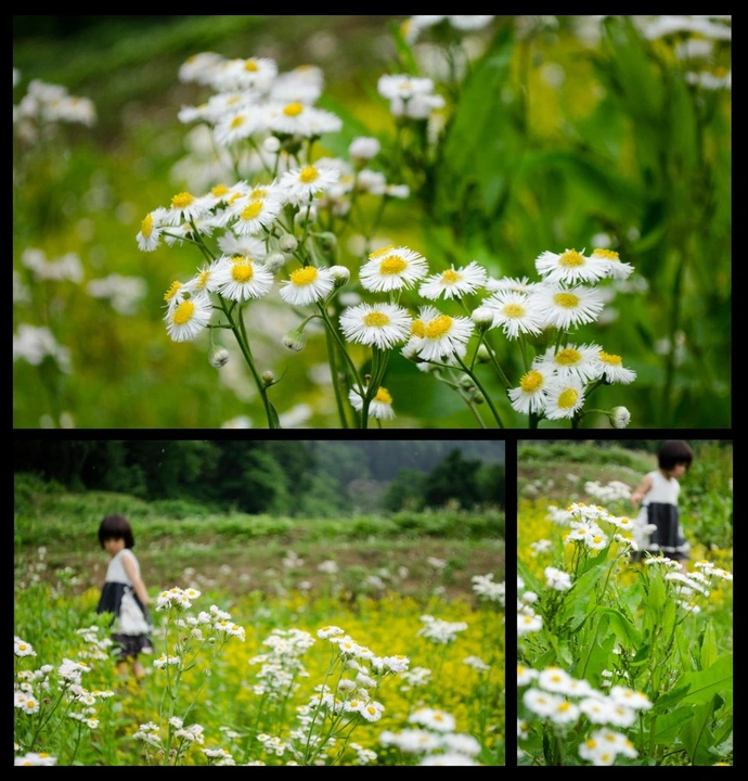 252_10460862_10152547332783203_2814082260793841846_o-982x1024