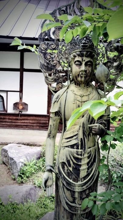 256_img_20240615_161618-edit-574x1024