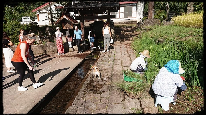 134_69861337_10157862235233203_6858855775763169280_n