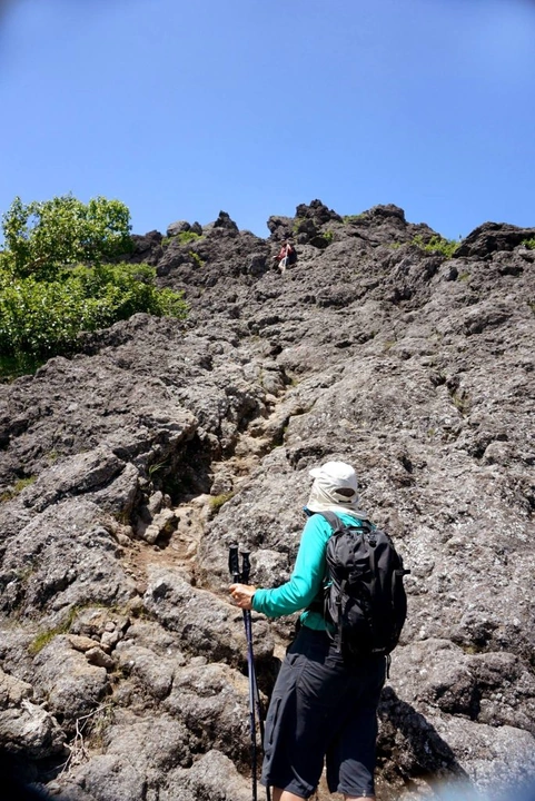 170_10495855_10152662588238203_5311451408177758452_o-684x1024