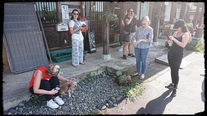 133_69904242_10157862235313203_205961402878263296_n