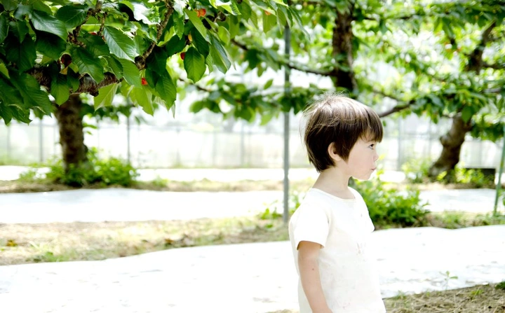 291_7439741268_0417639f64_k-1024x636