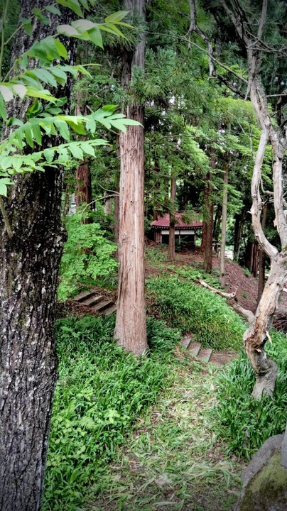 258_img_20240615_164708-edit-574x1024