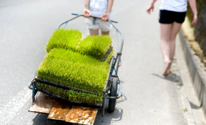 284_1052173_10151772271298203_1976333218_o-1024x624