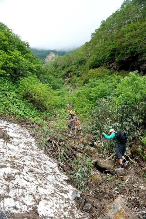 173_10506644_10152662588063203_1706654800989348975_o-684x1024