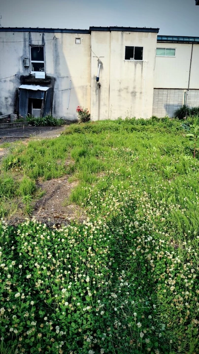 259_img_20240615_171158-edit-574x1024