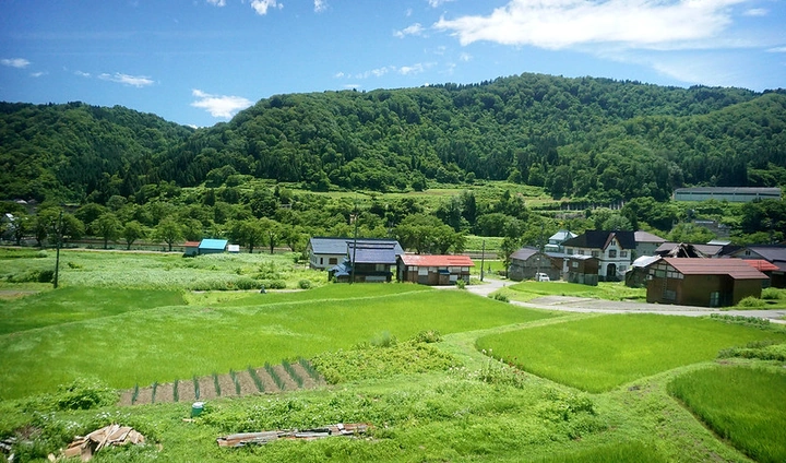 255_37051021072_dda5aee768_c