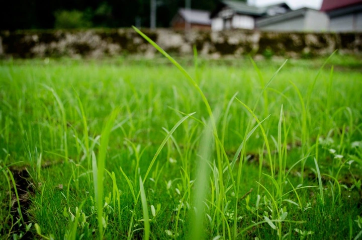 270_10428308_10152547332818203_1848631369444410553_o-1024x678