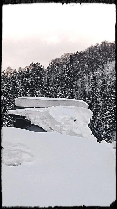 220_273439835_10160372808883203_2384244231444192312_n-576x1024