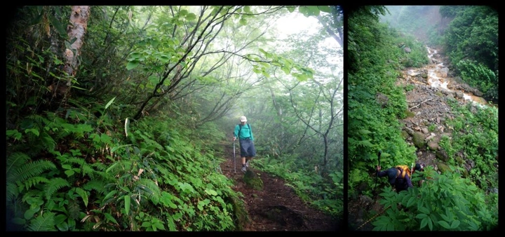 175_10515095_10152662587958203_4802476551548470904_o-1024x480