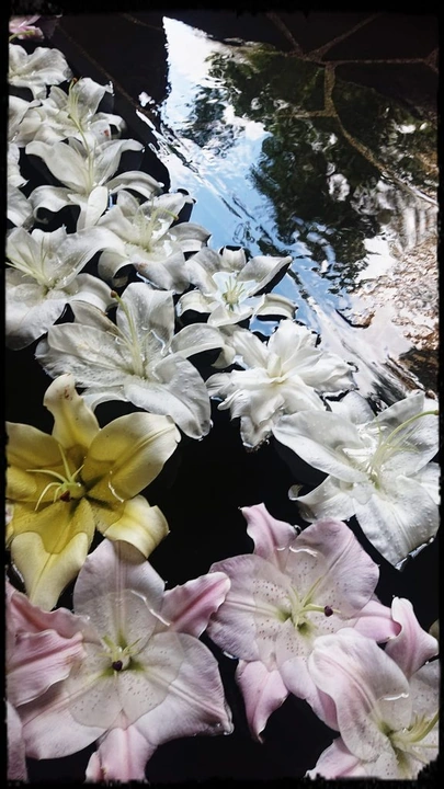 116_386779844_10161691464788203_664136327043564310_n-576x1024