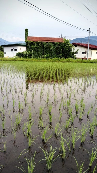 261_img_20240615_162736-edit-574x1024