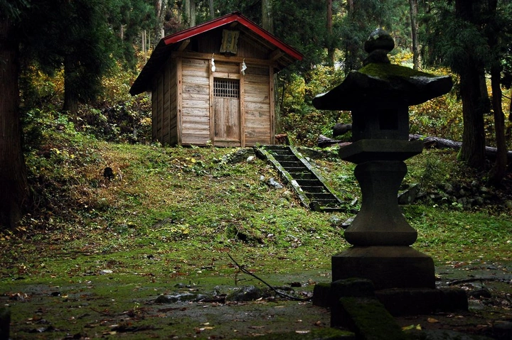 A Place For Shelter?